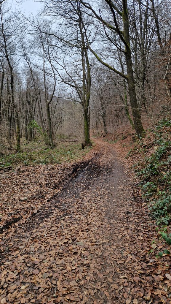 monte-chiusarella-sentiero-3