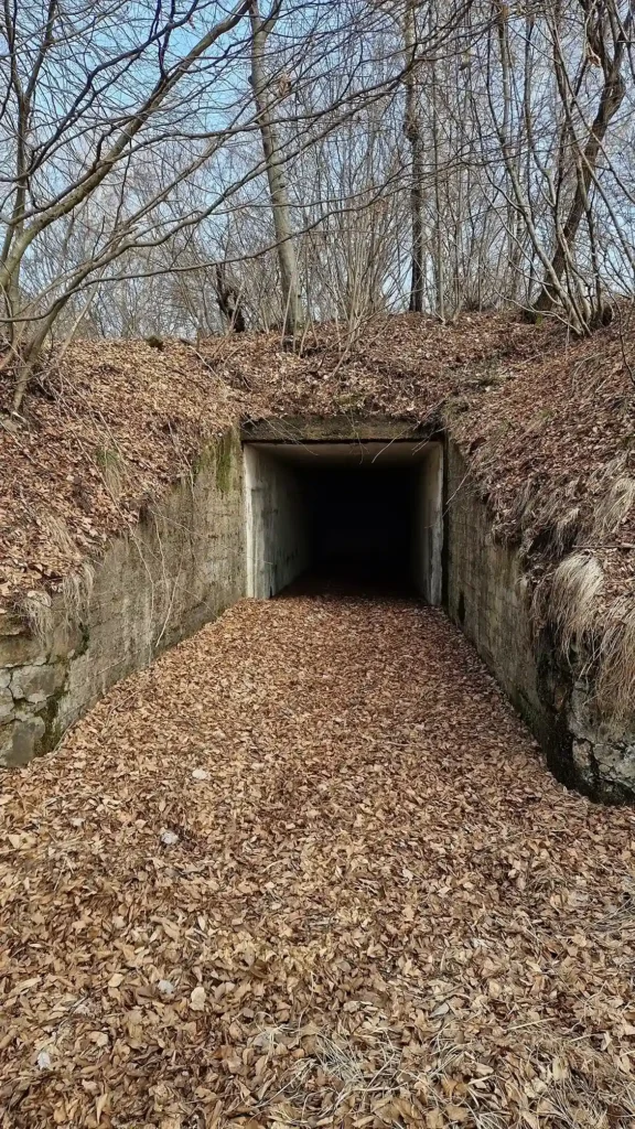 entrata-bunker