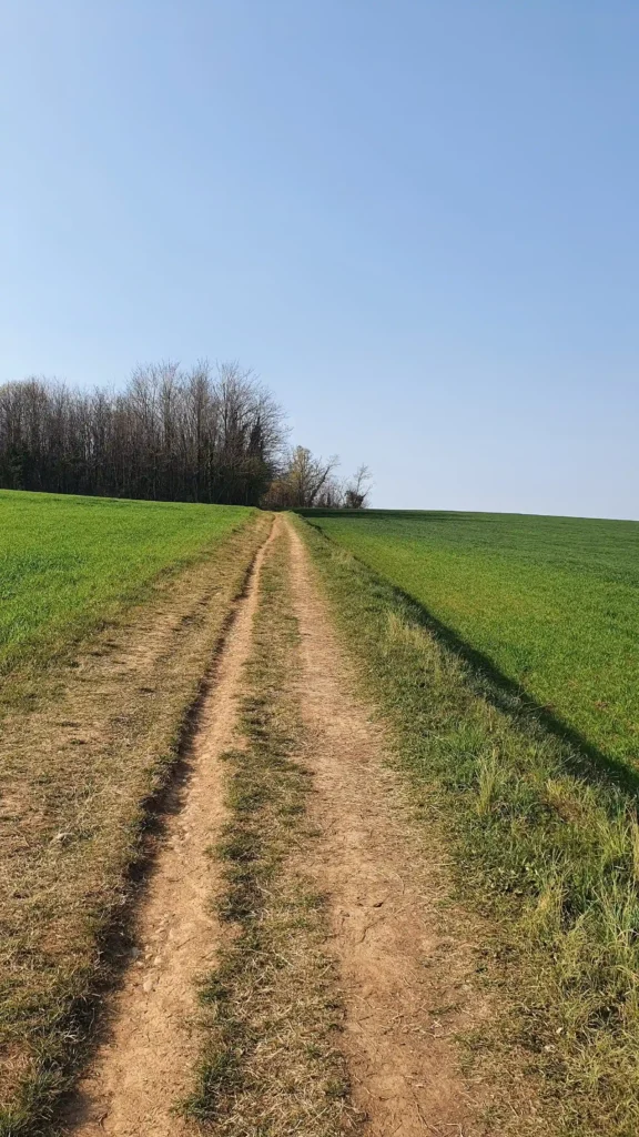 percorso-parco-colli