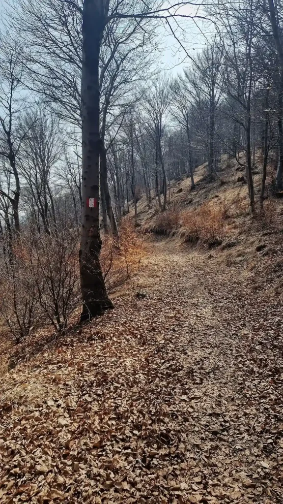 sentiero-monte-piambello