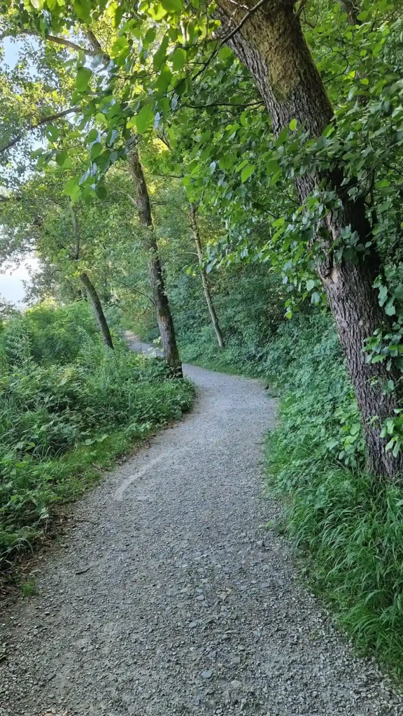 sentiero-sculture-pusiano