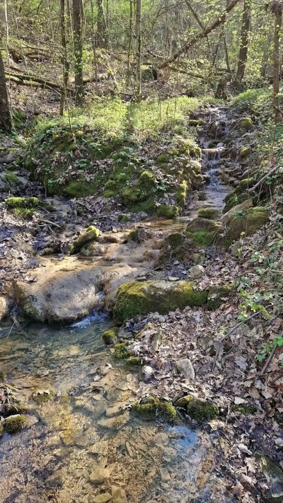 sorgente-pietrificanti