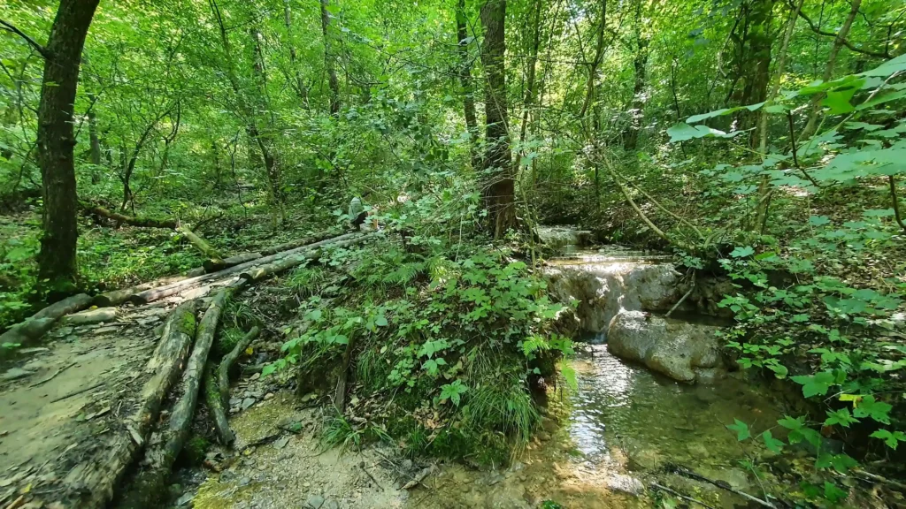 sorgenti-pietrificanti