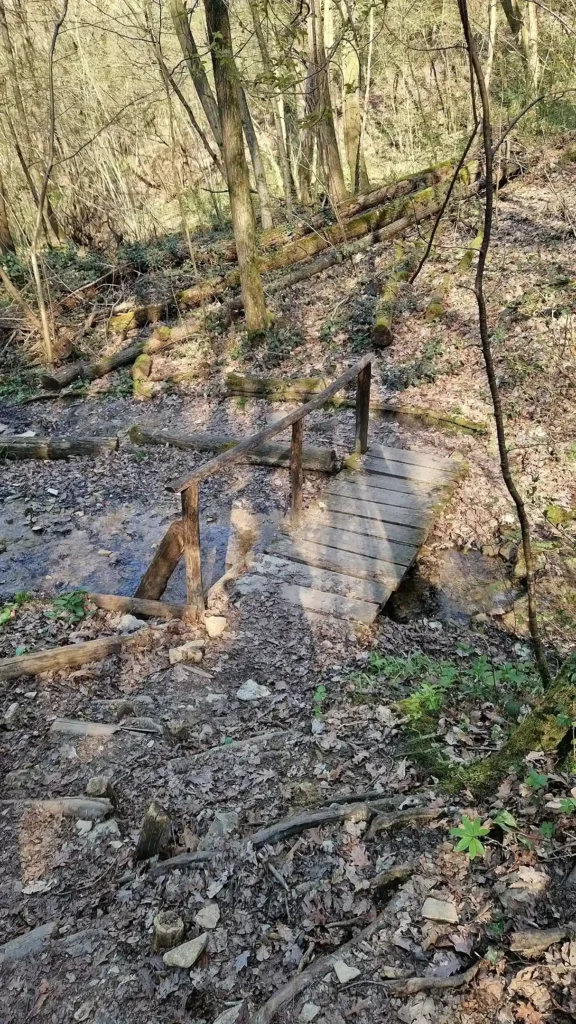 sorgenti-pietrificanti-montevecchia