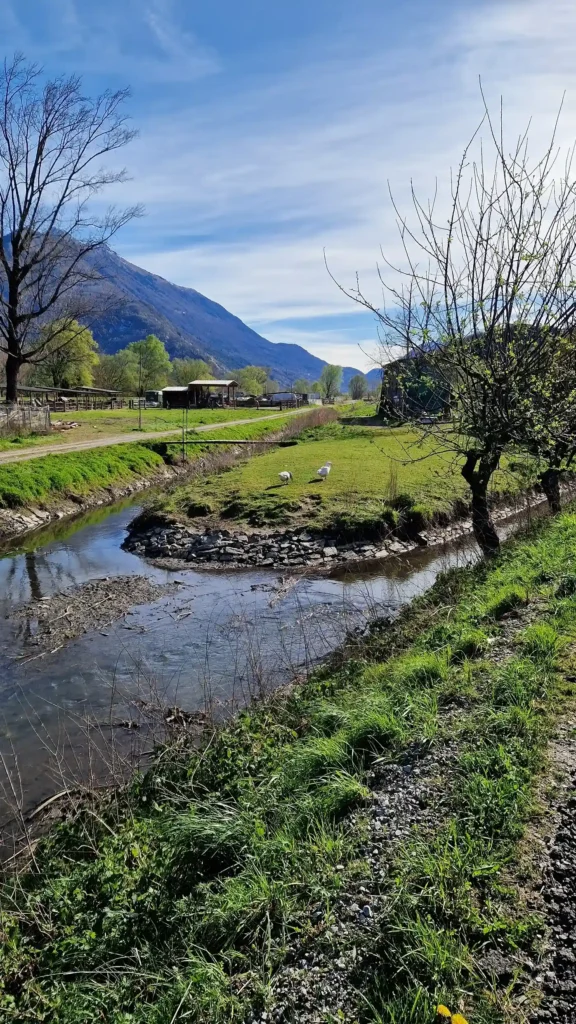 campagna-pian-di-spagna