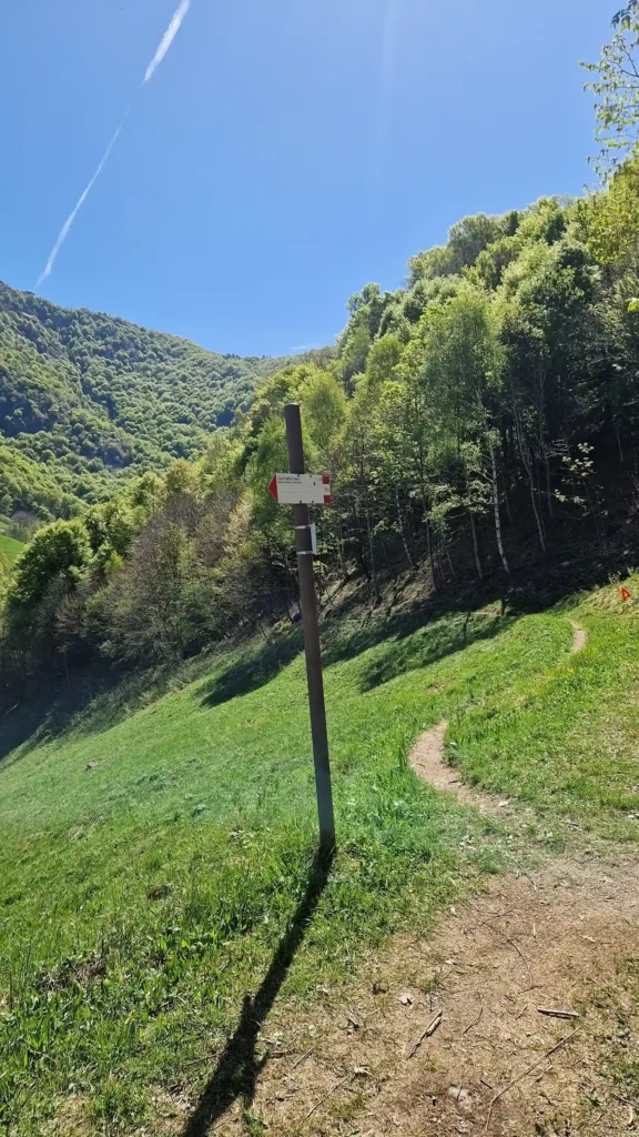 itinerario-nel-prato