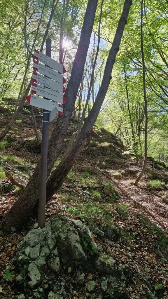 sentiero-nel-bosco